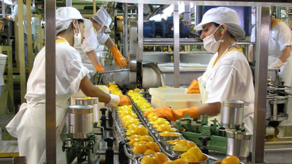 termas solares en la industria alimentaria